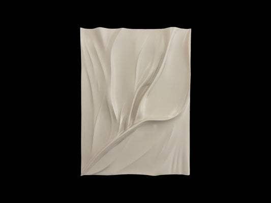 Soft Waves of Elegance
